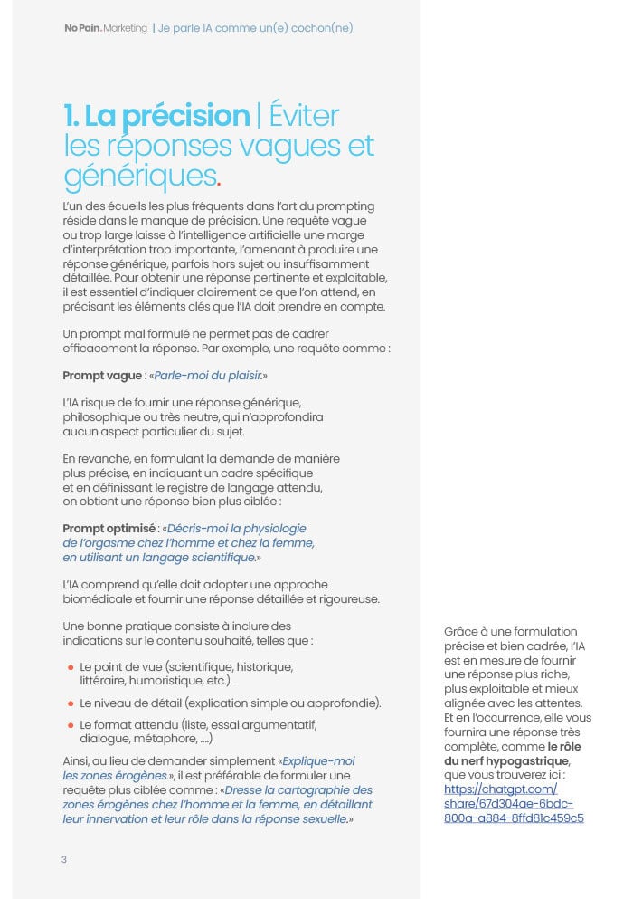 Je-parle-IA-comme-une-cochonne-_--Playbook-NoPain.Marketing-02