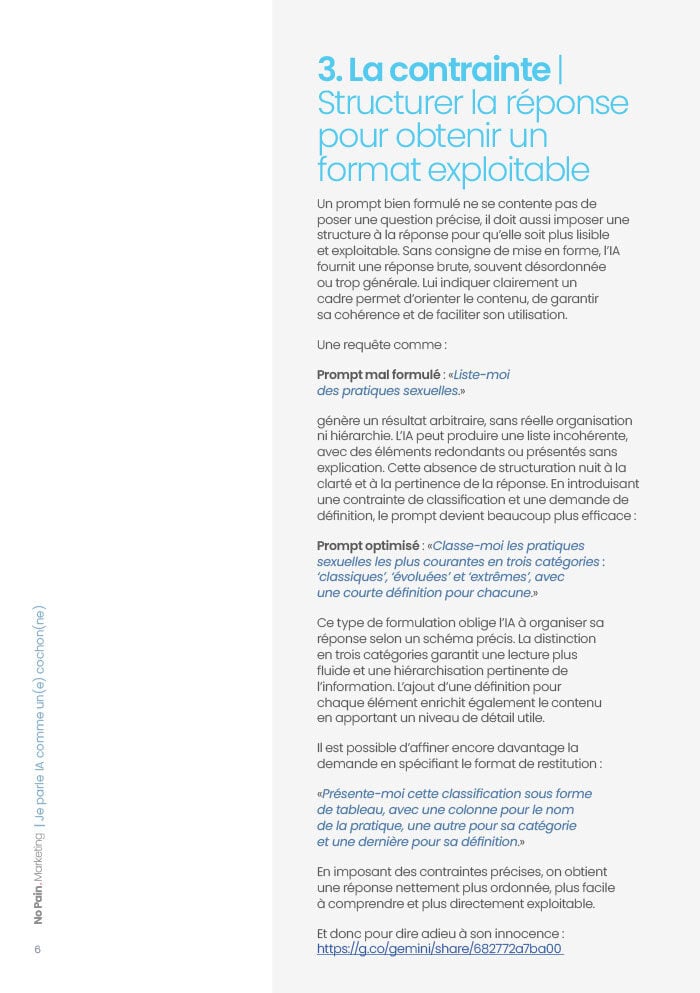 Je-parle-IA-comme-une-cochonne-_--Playbook-NoPain.Marketing-05